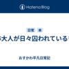 自称大人が日々囚われているもの