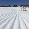 春の陽気で雪もザクザク【白馬八方尾根スキー場】