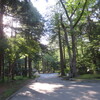 今日の散歩道・・北海道神宮～円山登山～円山動物園。