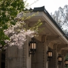 東京の桜をめぐる旅⑦満開・晴天の昼編『千鳥ヶ淵から九段会館テラスへ』