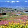 甲斐の国が奏でる郷愁とは 織り成す浪漫とは…