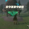 ゼルダの伝説【ティアーズオブキングダム】キウヨヨウの祠