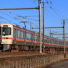 東海道線　313-5000系Y100/Z編成