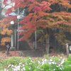 太平寺・竜門の滝の紅葉