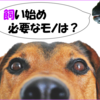 わんこ、飼い始めるのに必要なモノは？