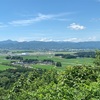 何かと波がある時期なのかもしれない、私の夏