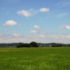 久しぶりの夏空