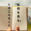 【ぼんやり日記】「自然を見る」ってこんなこと