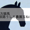 2023/9/27 地方競馬 船橋競馬 7R 馬い!淡路うしろ農園玉ねぎ食べよう(C2)
