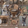   ann's coffee | 京都カフェ | 京都ドッグカフェ | 京丹波町カフェ|京丹波町ドッグカフェ|焙煎珈琲 |2024 12/23