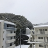 積雪 15㎝