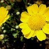 もう2年・・