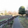 仙川沿い散歩・・仙川公園・・新川丸公園（東京都三鷹市）