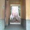 筋トレ