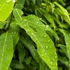 「何もしない日」を作りたかったのにな