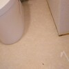 昨日行ったとこ。
