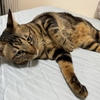 近づいてきそうで近づかないニナちゃん！