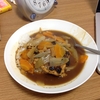 61日目、豆腐ハンバーグカレースープ