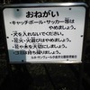 ﾙﾈ・ｻﾝｳﾞｪｰﾙ小金井公園の公園（西東京市）