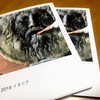 Googleフォトを使って、写真アルバム作成。二人でフォトブックを作る時、すごく便利です。