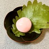 大丸東京店の春の味。塩瀬総本家の柏餅と、銀座鈴屋のれもん甘納糖・栗甘納糖。