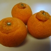 デコポン？不知火？