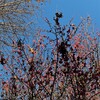 「おふろの王様」に行った