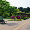 県立自然植物園に遊ぶ（その3）