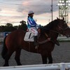 ぱんえい十勝。帯広ばんえい競馬だぜ( ﾉ^ω^)ﾉ中編。おうまさん達。