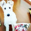 あけましておめでとうございます