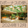 資産4000万円超え主婦が計画する冬のボーナスの使い道2024年12月