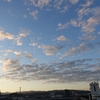 今朝の空「うろこ雲」