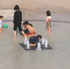 水ぬるむ「ふなばし三番瀬海浜公園」