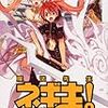 魔法先生ネギま！ ３６ / 赤松健