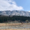 月曜から木曜まで　（私の動向）