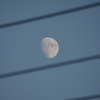 電線の間から見える月