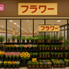 【マックスバリュ / イオン】隠れた町の花屋さん⁉お得で種類豊富🌸お得な購入先ガイド