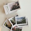 フィルム写真、発掘。Discovery of printed photos