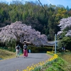 堀池のしだれ桜 2021.3.27