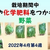 農薬や化学肥料をつかわない野菜（2022年4月第4週）