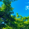 ６月２３日