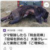 【まさにクマイシス？！……11／5　クマを駆除したら「税金泥棒」「役場を辞めろ」大量クレームで業務に支障】＃596