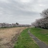 こだま千本桜