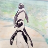 水彩画112枚目「ケープペンギン」