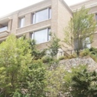 「ジャングルジムとチューリップ・辻堂ゆめ《今日未明》」//パワーカップルの隙