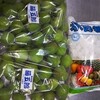 梅の季節