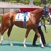 好調キープということで１日に帰厩。次走は２０日のダ１６００ｍを予定しています。☆アナンシエーション