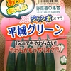 オクラ 栽培記録 2024年度