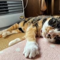 冬のカミナリ⚡