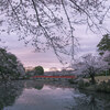 4月ももう7日